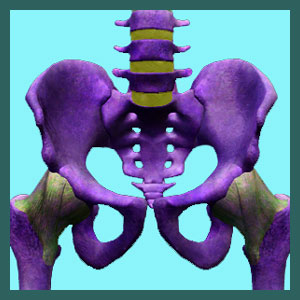 cure back pain network