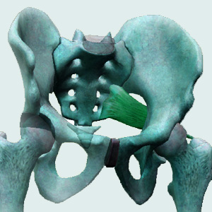 Nonsurgical Sacroiliac Treatment