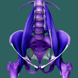 Sacroiliac Exercises