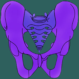 Sacroiliac Joint