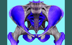 sacroiliac joint pain