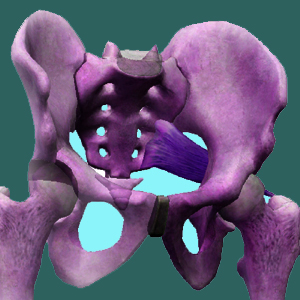 Sacroiliac x-ray